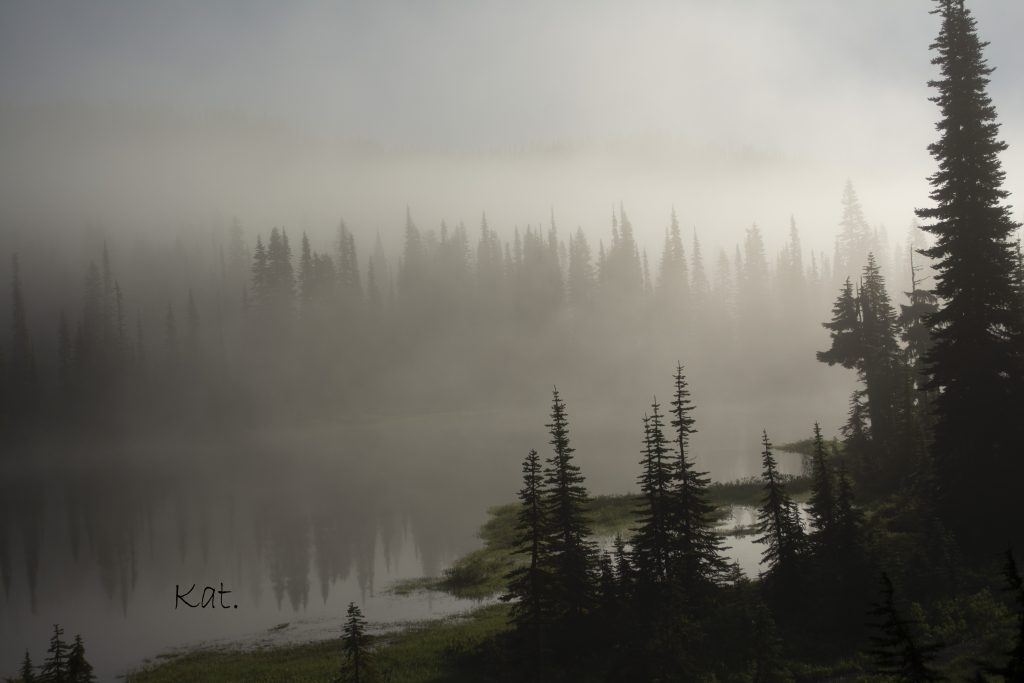 Reflection Lake in morning mist -- the reflection of Mt. Rainier cannot be seen.